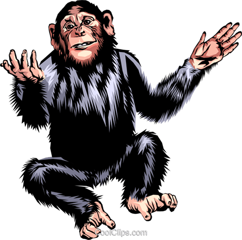 Chimpanzee Royalty Free Vector Clip Art Illustration - Alfabetul Pentru Copii Litera M (480x476), Png Download