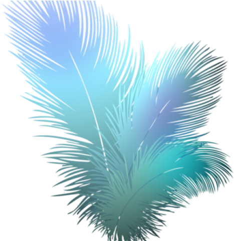 Transparent Peacock Feather Png (640x480), Png Download