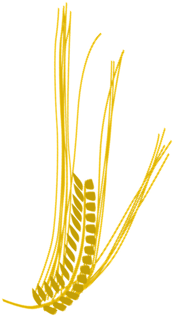 Até A Próxima - Galho De Trigo Png (1303x1386), Png Download