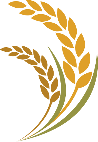 Unfortunately, An Error Occurred - Imagens Grão De Trigo (331x478), Png Download