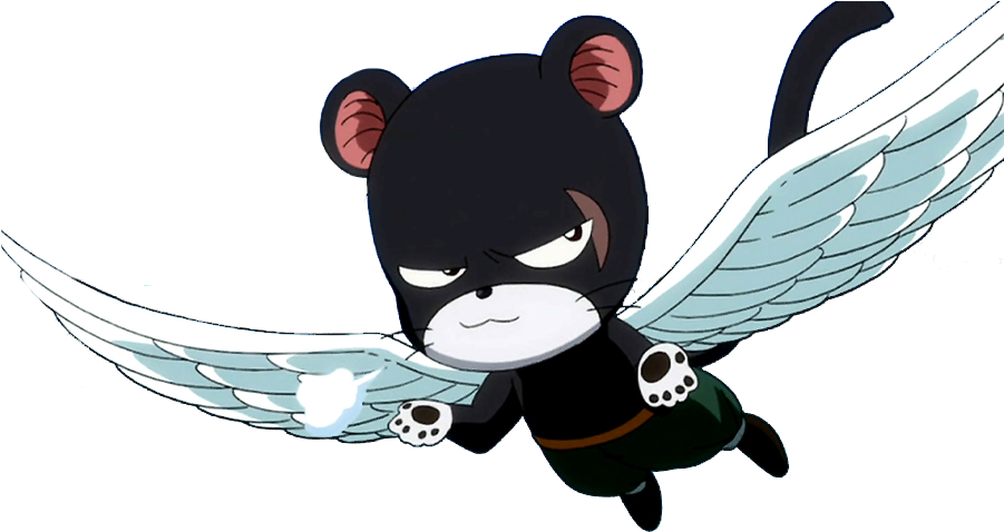 Posted Image - Fairy Tail Dragon Slayers Cats (900x503), Png Download