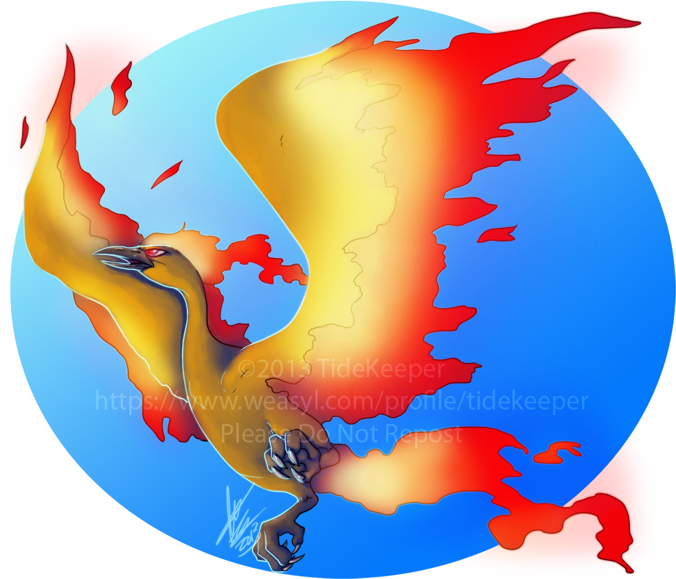 Pokemon - Moltres - Illustration (1031x900), Png Download
