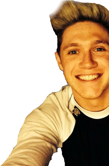 #найл Хоран #селфи #1d #one Direction #niall Horan - Harry Styles Selfie Png (400x580), Png Download