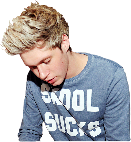 Transparent Niall - Niall Horan Blue Hair (500x489), Png Download