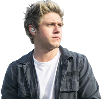 Niall Horan (500x333), Png Download