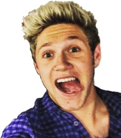 Tumblr Transparent Niall Horan - Niall Horan (500x493), Png Download