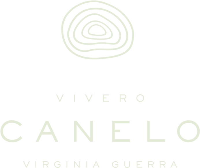 Imagotipo Verde - Circle (1000x1000), Png Download