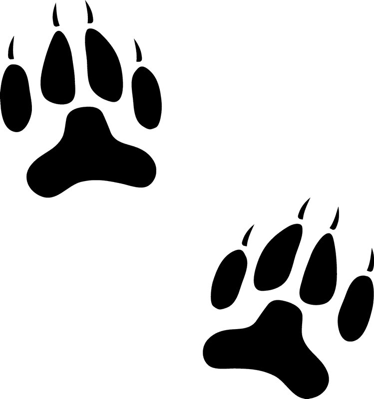 Dog Paw Prints Stamp - Tracker Dog Prints (749x800), Png Download