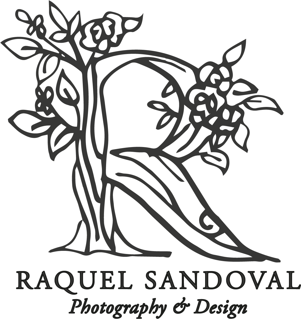 Clipart Freeuse Download Raquel Sandoval Photography - Photography (1424x1367), Png Download