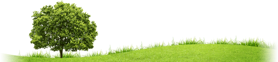 Pasto Verde Png - Arquitectura Sostenible Png (1000x217), Png Download