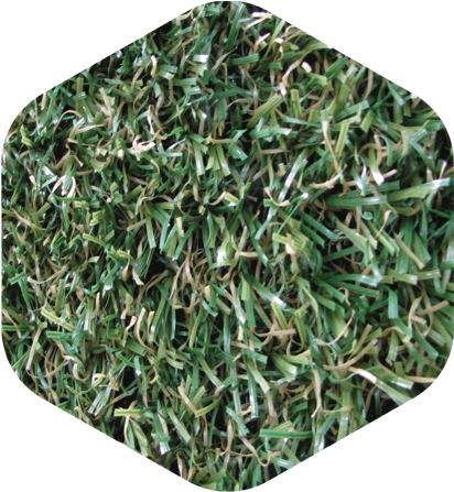 Bermuda - Kagoshima (413x472), Png Download