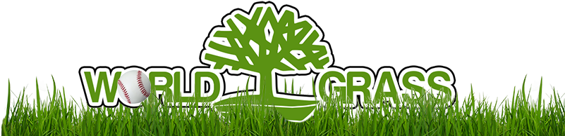 Pasto Sintetico - Wg - - Artificial Turf (800x200), Png Download