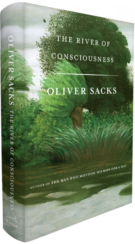 Book-spine - River Of Consciousness - Hardcover (473x850), Png Download