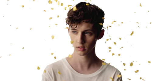 Troyepetals - Wild Troye Sivan Gif (500x268), Png Download