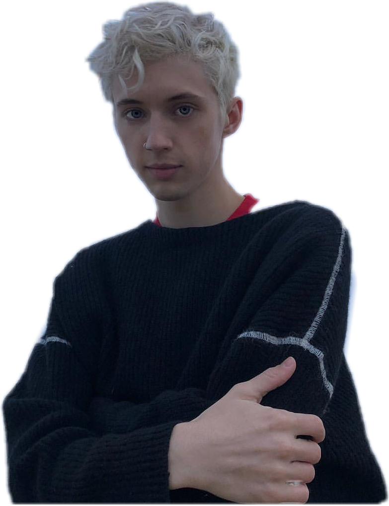 Report Abuse - Troye Sivan Wonderland (783x1020), Png Download
