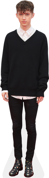 Troye Sivan Cardboard Cutout (363x757), Png Download