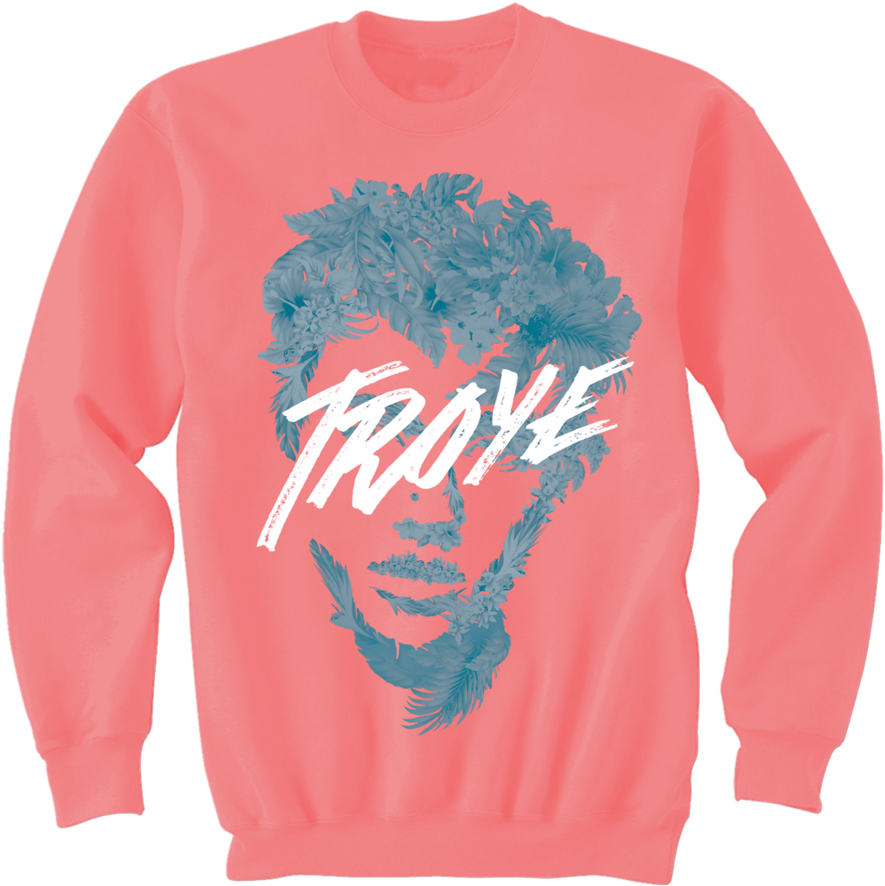 Pitch For Troye Sivan's 2016 Tour - Ariana Grande Sweatshirt Merchandise (1000x1000), Png Download