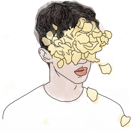 Troye Sivan Message Wall 1 - Animal Jam Clans (500x508), Png Download