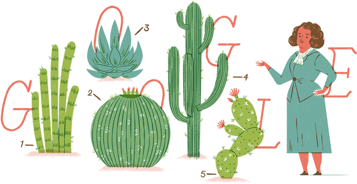 Helia Bravo Hollis (900x400), Png Download