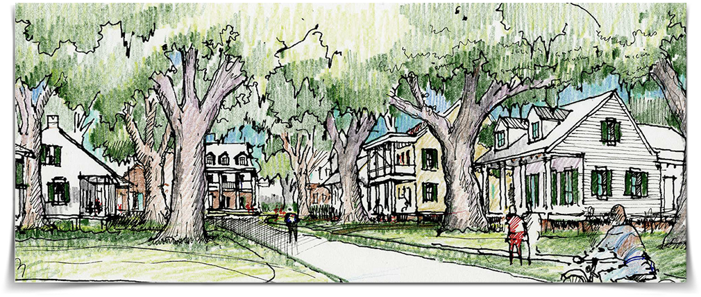 Stonewall - Tree (1047x438), Png Download