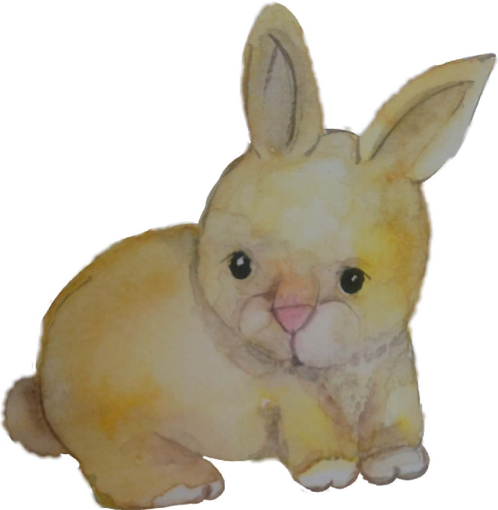 Baby Rabit Coelho Aquarela Watercolor Catarinazs - Domestic Rabbit (1024x1049), Png Download