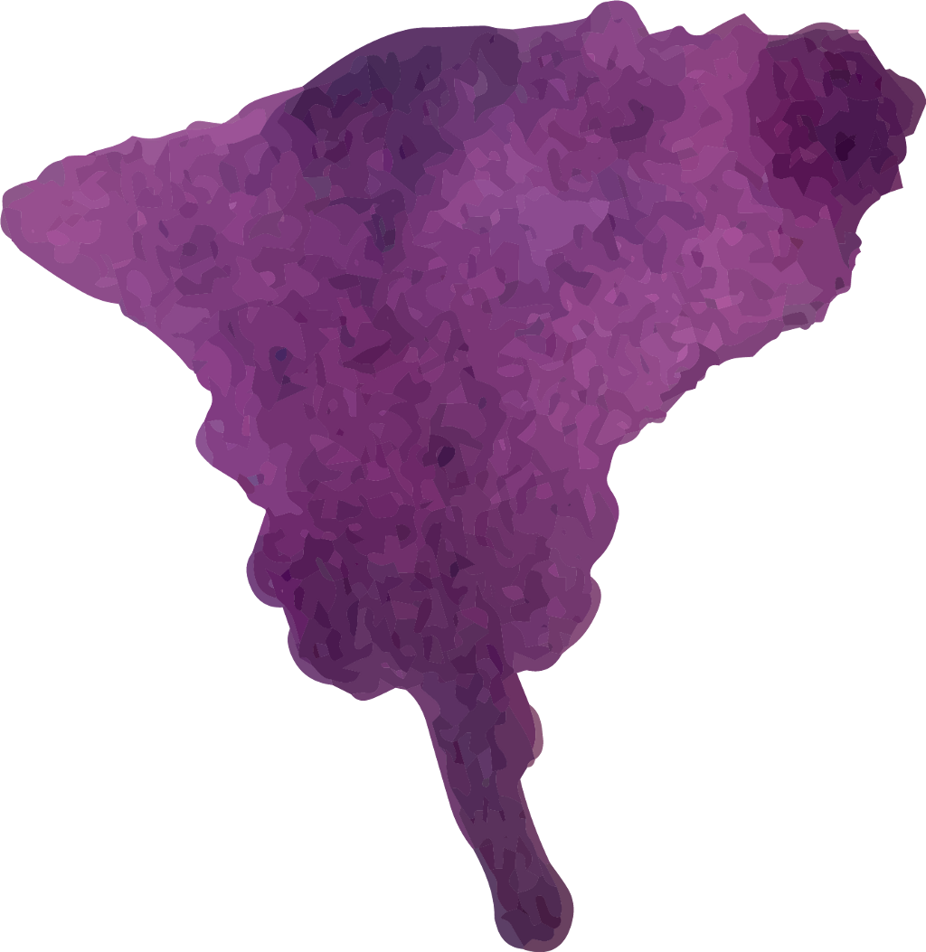 Watercolour Watercolor Brush Brushstroke Stain - Watercolor Painting (1024x1053), Png Download