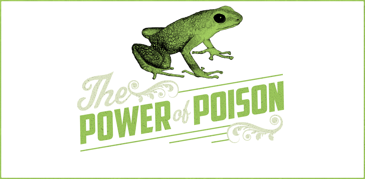 Download High Resolution File - True Frog (1500x739), Png Download