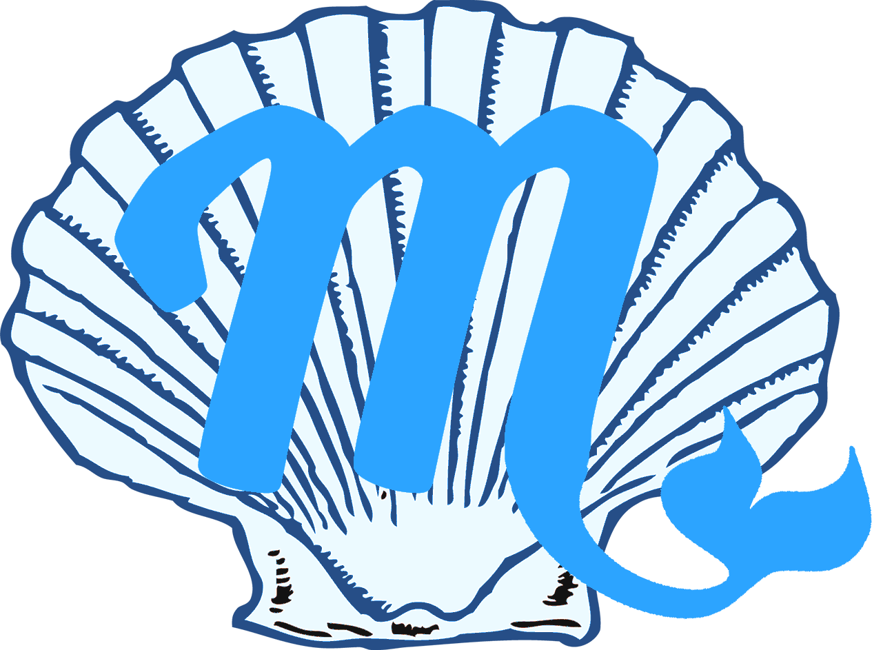 Discovering Misty Books - Shell Clip Art (1265x943), Png Download