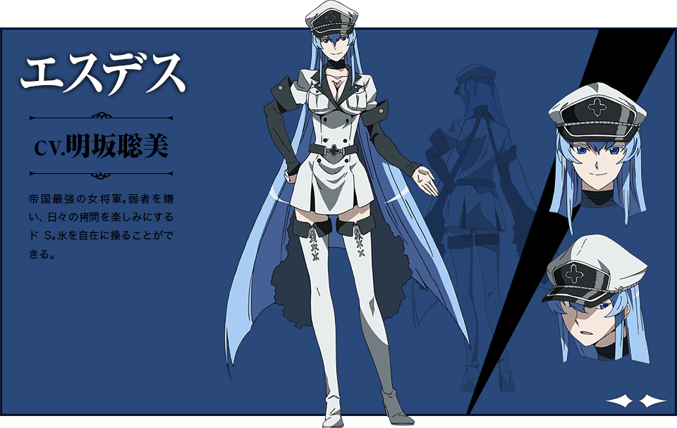 Esdeath Anime Concept 02 - Syndra Star Guardian Skin Fan Ar5 (960x608), Png Download