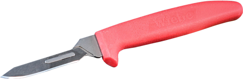 Blade (1000x500), Png Download