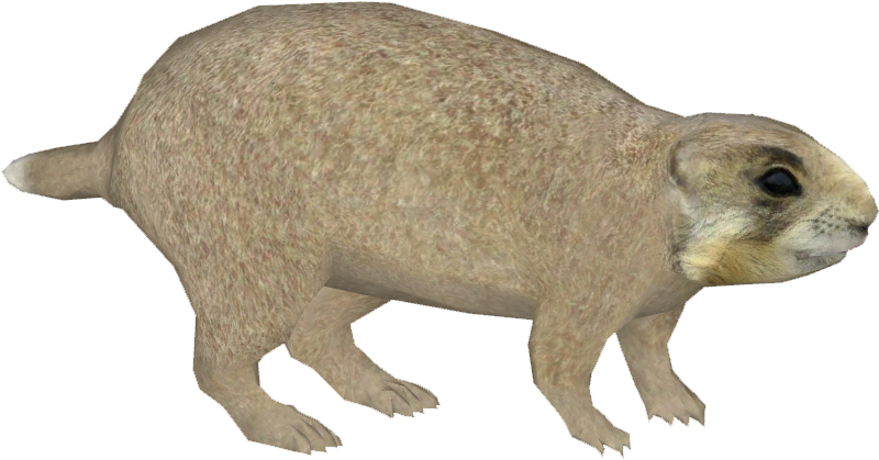 Utah Prairie Dog - Lion (799x799), Png Download