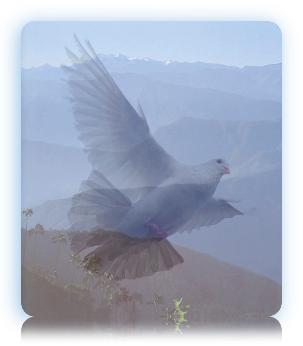 Holy Spirit (600x684), Png Download