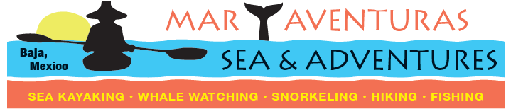 Sea & Adventures/mar Y Aventuras (741x192), Png Download
