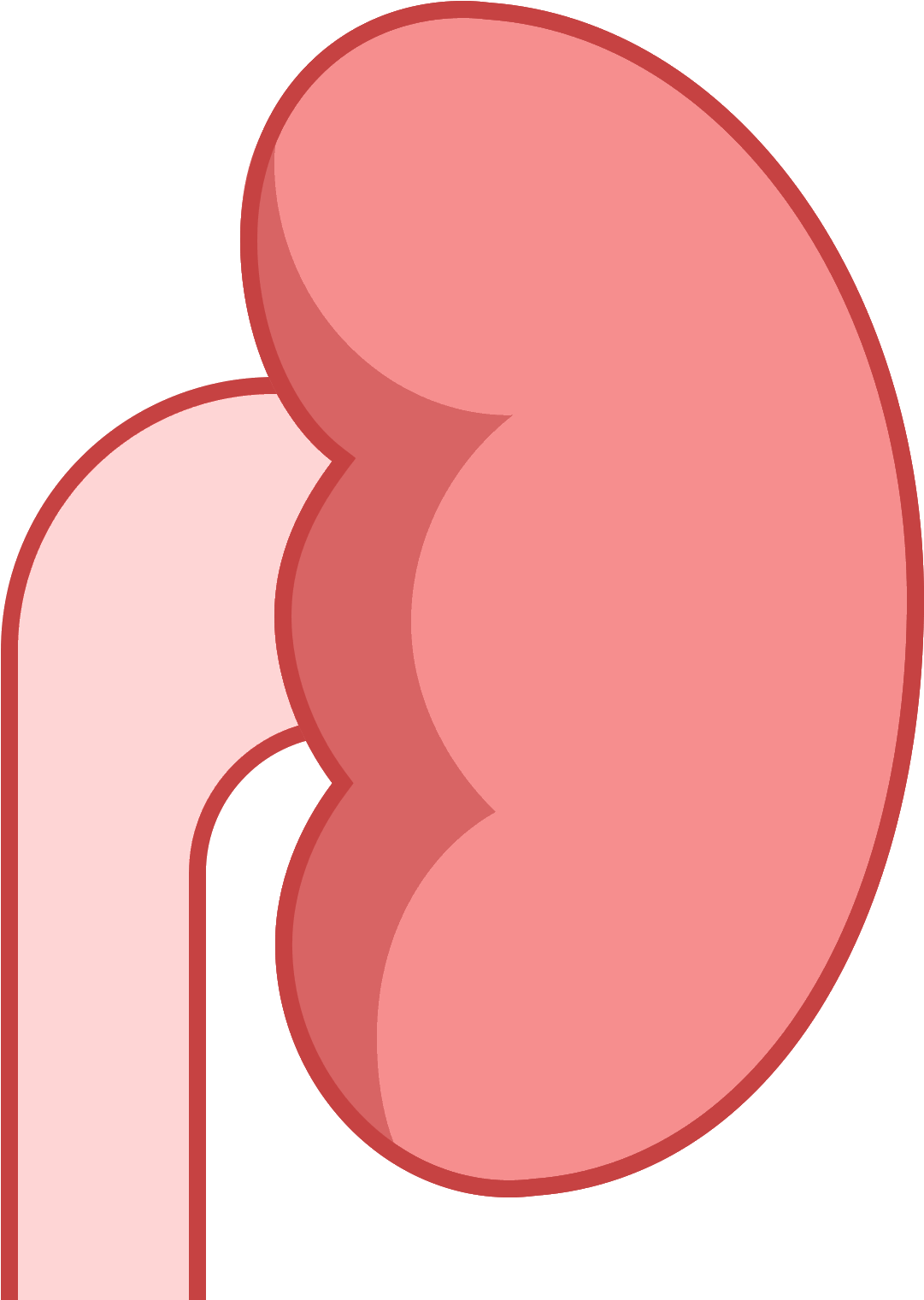 The Icon "kidney" Resembles In General Left Human Kidney - Kidney (1600x1600), Png Download