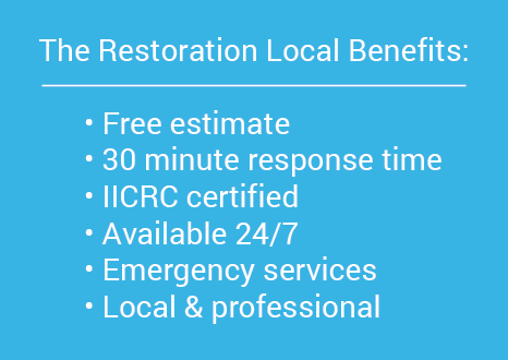 Fire Damage Restoration - Indoor Mold (466x330), Png Download