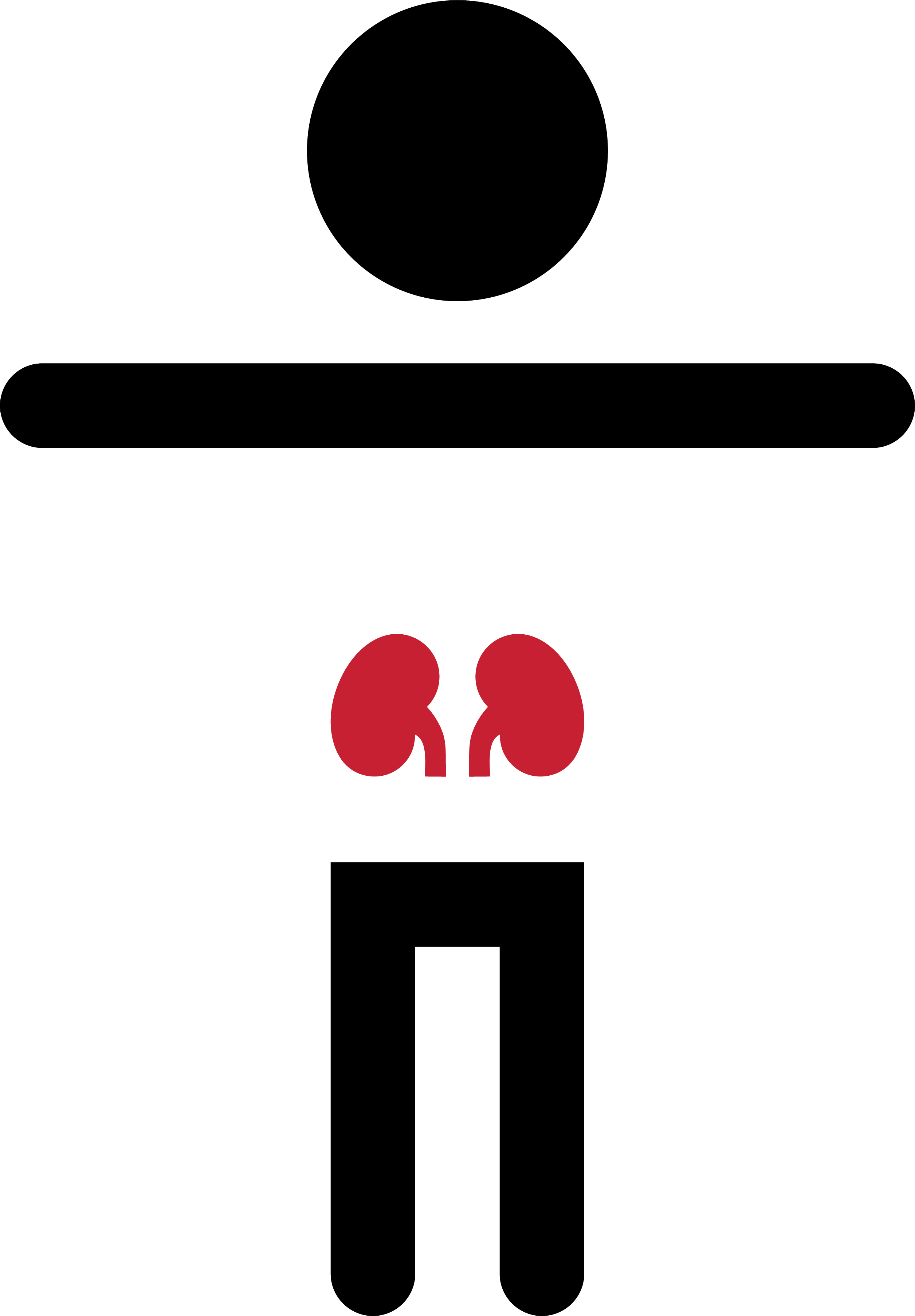 Kidneyman - Graphic Design (2512x3612), Png Download