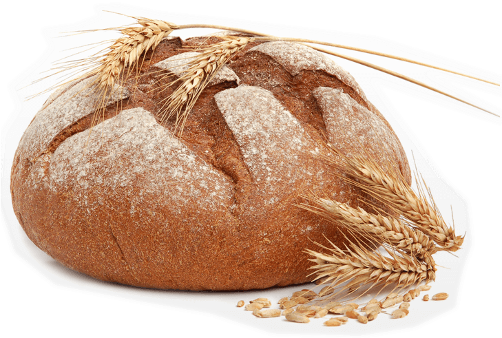 Book Now - Que Es Literalmente Ejemplo (728x504), Png Download