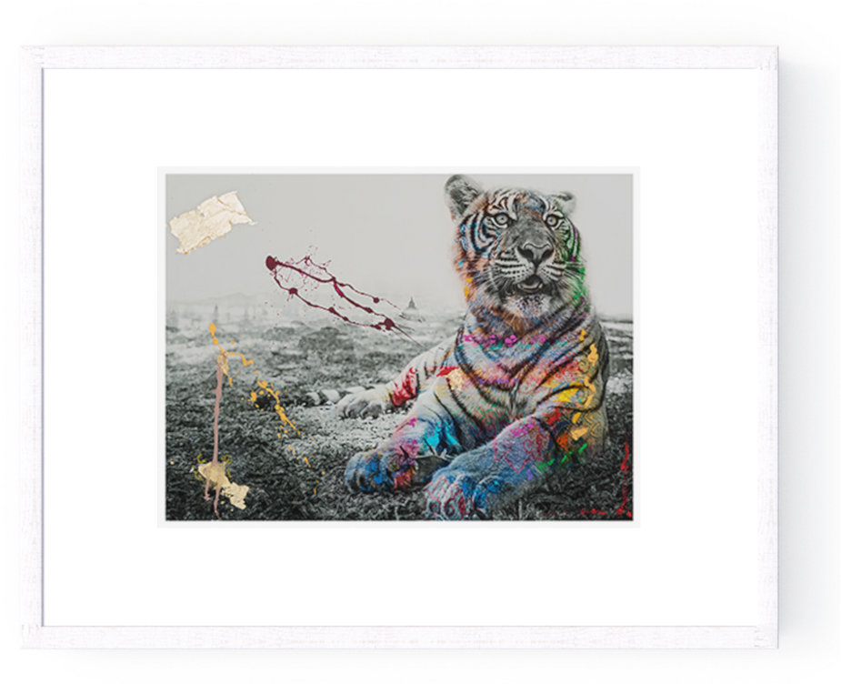 Photographs - I M Not A Trophy By Arno Elias (1000x751), Png Download