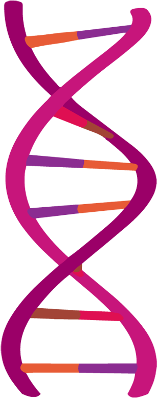 Dna (880x880), Png Download