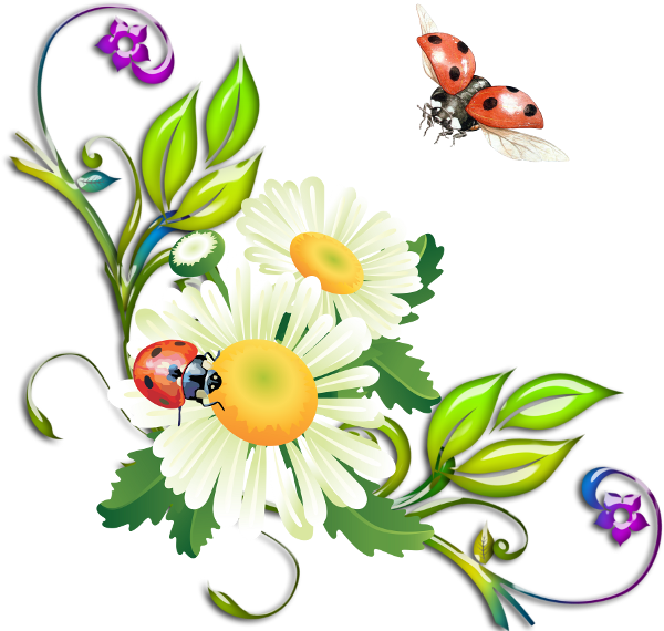 Яндекс - Фотки - Green Corner Flower Frame Gif (600x570), Png Download