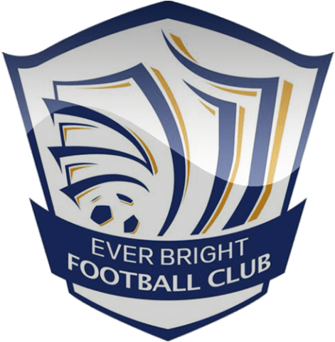 Best Shijiazhuang Ever Bright Football Logo Png Png - Shijiazhuang Ever Bright Png (480x480), Png Download