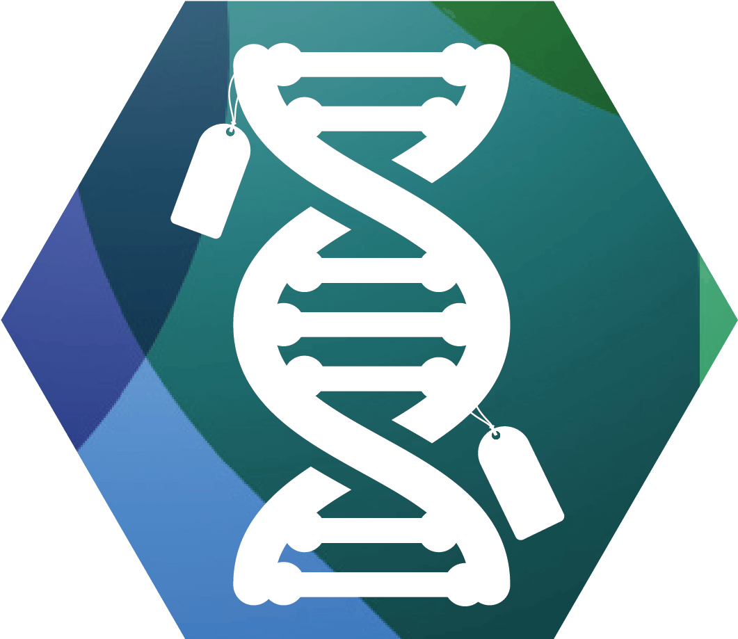 What Is Epigenetics - Epigenetic Tags (1126x987), Png Download