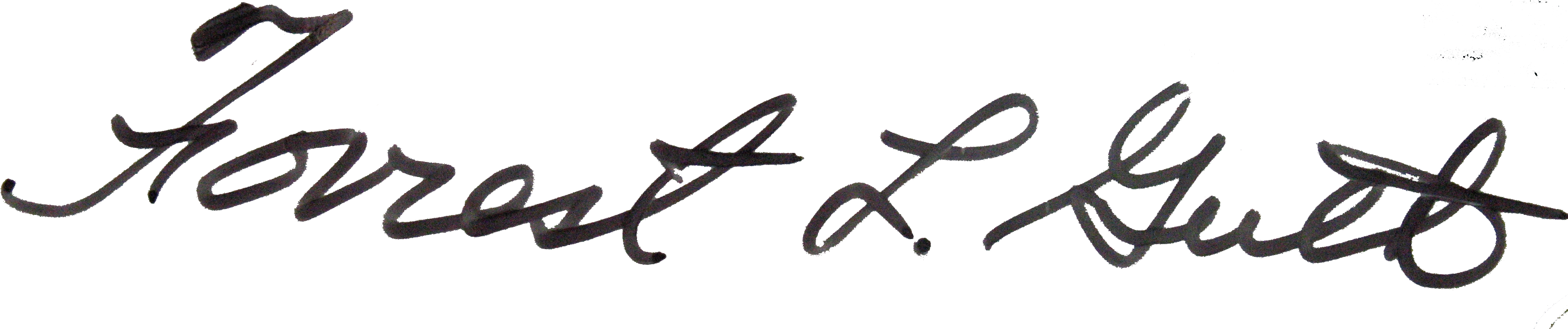 Signature Forrest Guth - File Signature (3492x798), Png Download