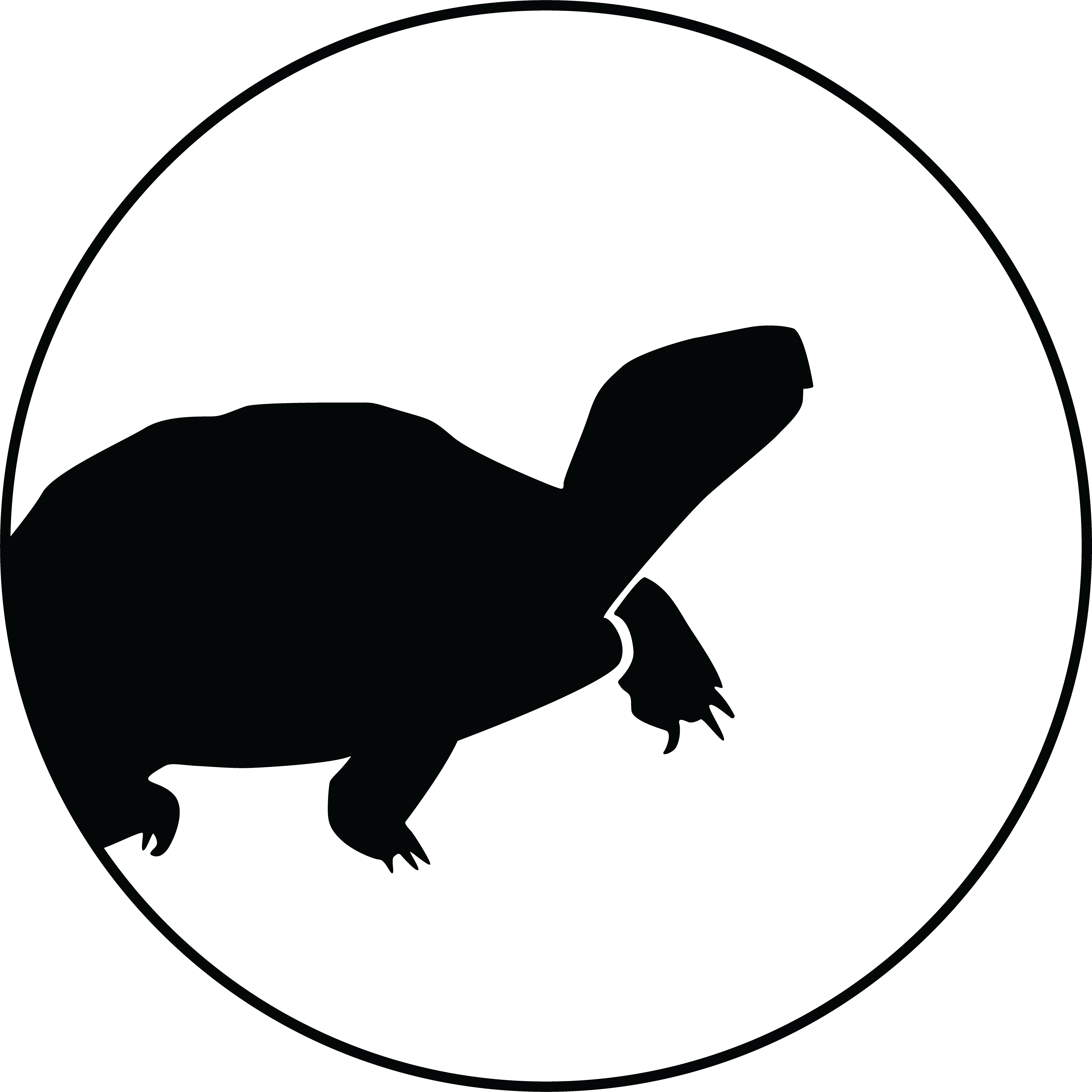 Rosalinda Palomo-ramos And Gamaliel Castañeda Gaytán - Tortoise (4281x4282), Png Download