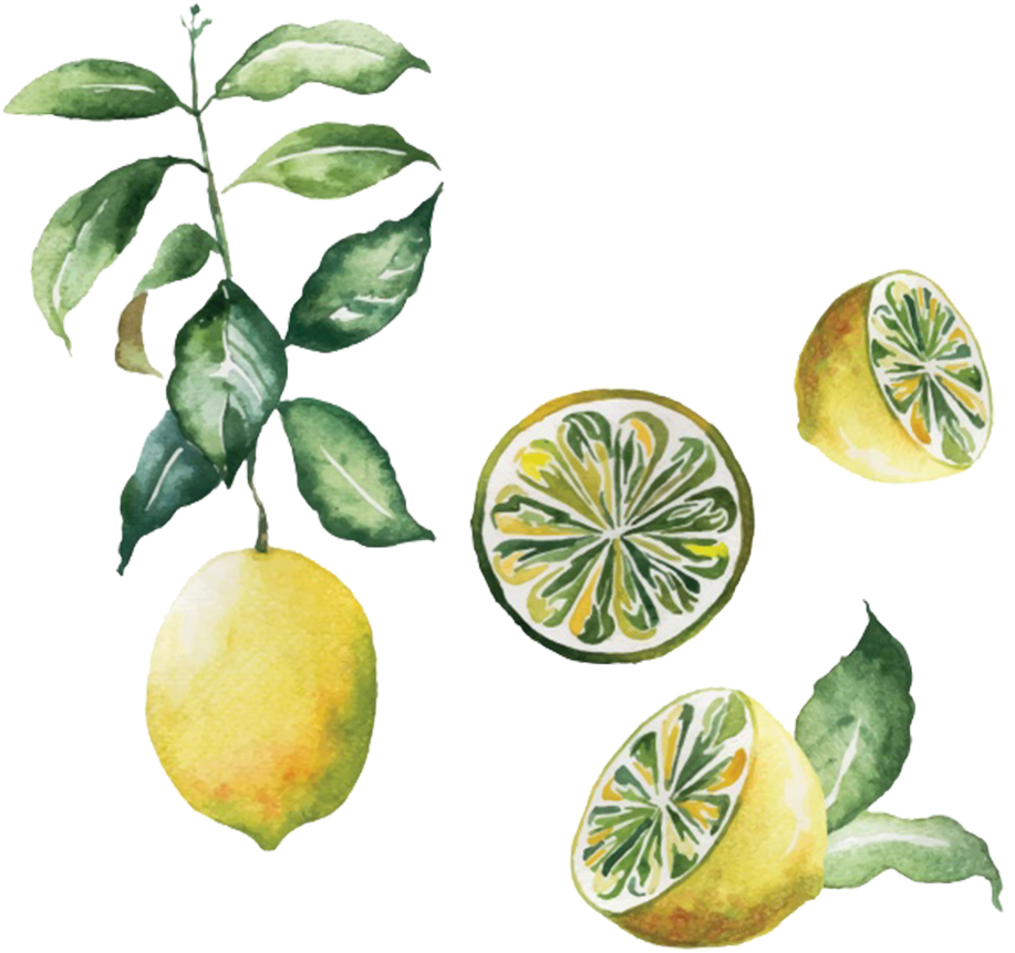 Scandinavia Poster Lemon Watercolor Painting - Lemon Design (1000x1000), Png Download