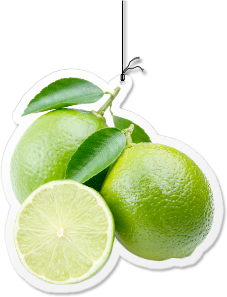 Key Lime (500x600), Png Download