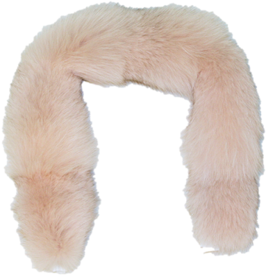 Clip Art Black And White Glacier Wear Blue Fox Ruff - Arctic Fox (500x500), Png Download