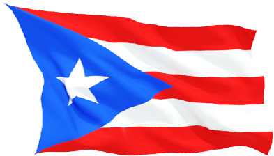 Bandera Puerto Rico Jibaros - Bandera Puerto Rico Png (446x338), Png Download