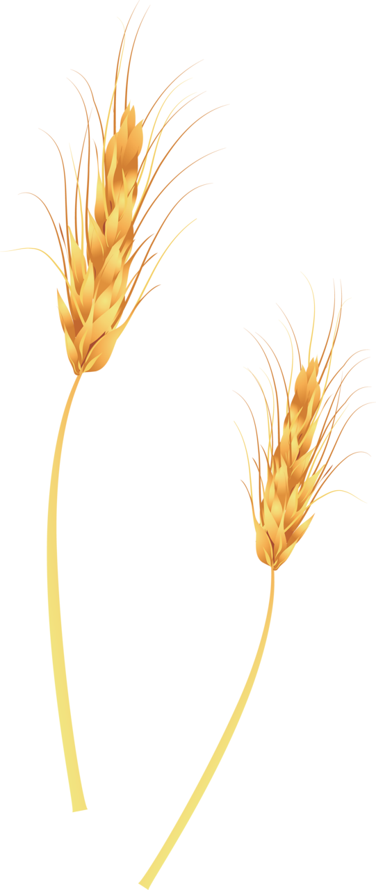 7 - Clip Art (541x1280), Png Download