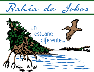 Gobierno De Puerto Rico - Seabird (400x307), Png Download